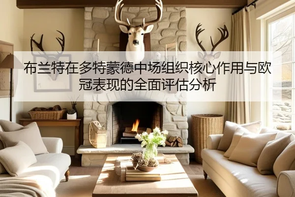布兰特在多特蒙德中场组织核心作用与欧冠表现的全面评估分析（cc7c7.app）