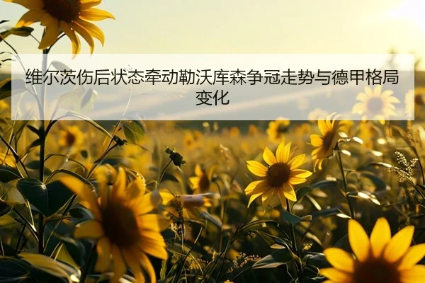 维尔茨伤后状态牵动勒沃库森争冠走势与德甲格局变化（cc7c7.app）